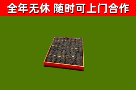 西双版纳回收海参